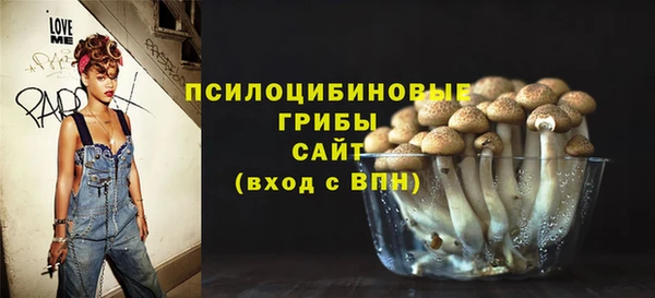 ПСИЛОЦИБИНОВЫЕ ГРИБЫ Алексеевка