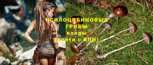 молекула духа Алексин
