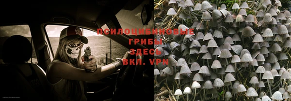 молекула духа Алексин