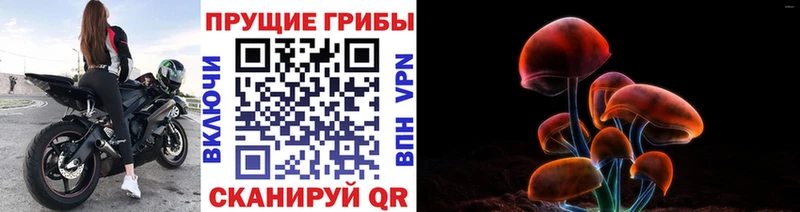 закладки Покров Галлюциногенные грибы Magic Shrooms